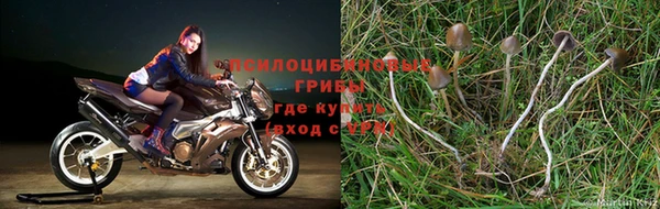 jwh Белокуриха