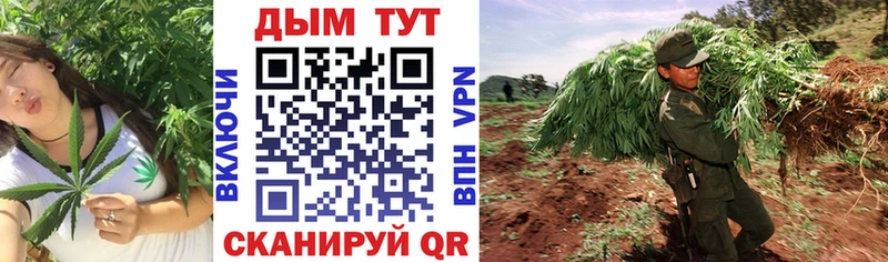 Шишки марихуана OG Kush  Когалым 